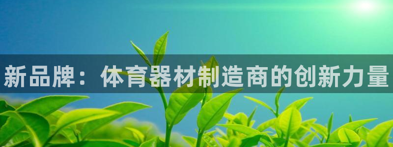 尊龙凯时平台不给出款怎么办：新品牌：体育器材制造商的创新力量