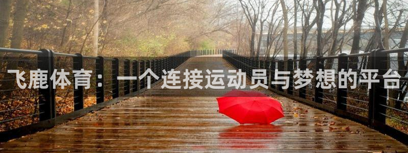 尊龙饰演过的经典角色：飞鹿体育：一个连接运动员与梦想的平台