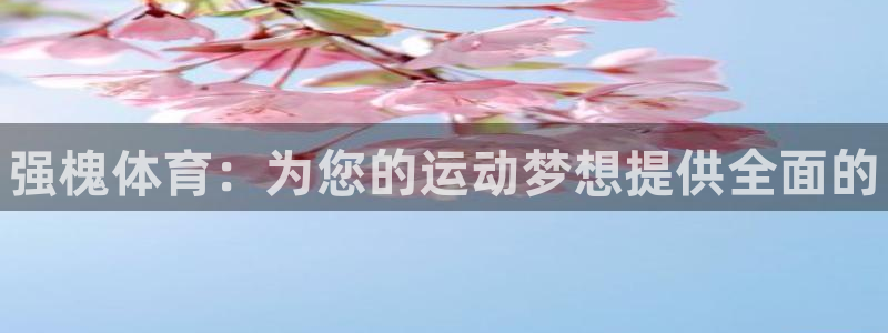 尊龙凯时app产品介绍